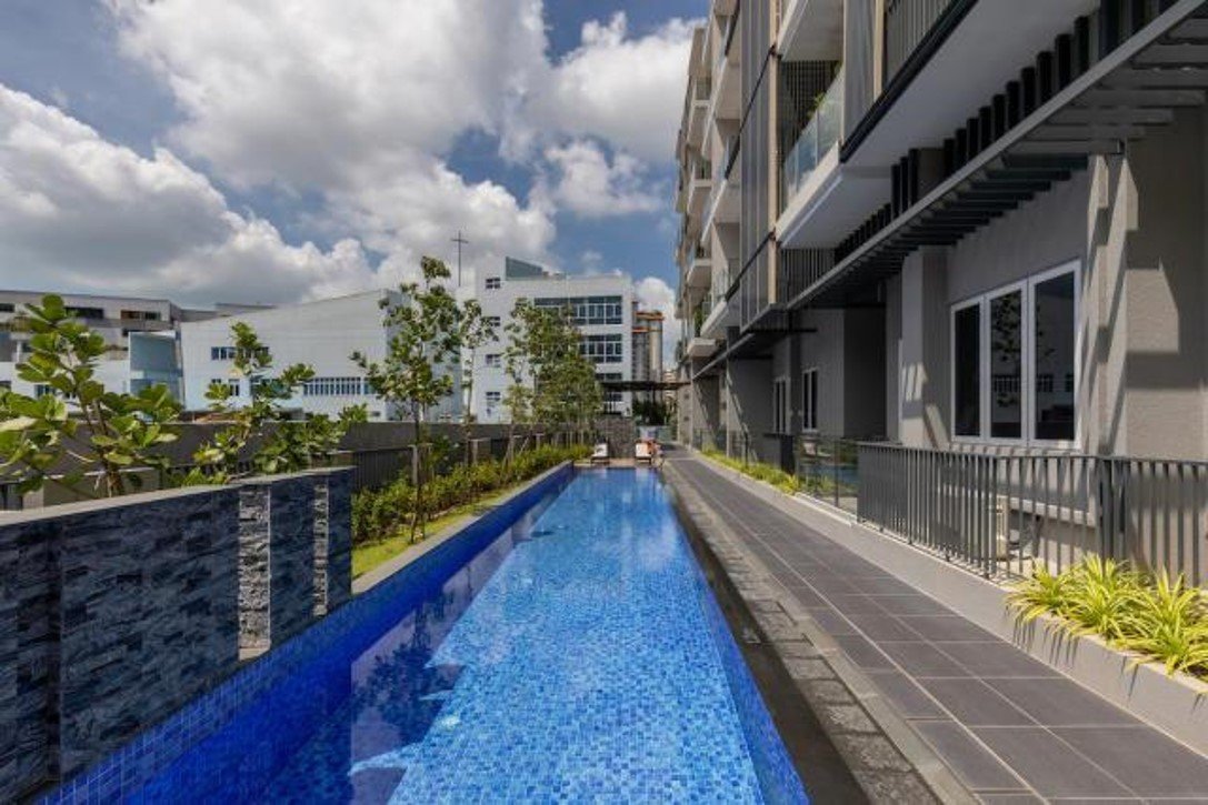 Jervois-Treasures-Swimming-Pool